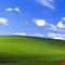 صدمة على الإنترنت بسبب 