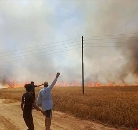 انقاذ 100دونم مزروع بالقمح من الاحتراق في كركوك