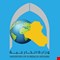 الخارجية توضح حقيقة نقل الوزير رسالة تهديد من ترامب إلى إيران
