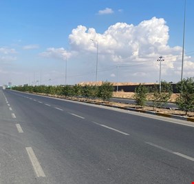 بتوجيه من رئيس الوزراء .. مشروع بطول  100 كم لتشجير الخط السريع الرابط بين 3 محافظات