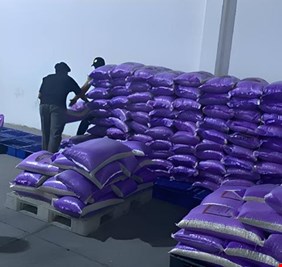 العراق يبدأ خطة طارئة لتأمين الغذاء