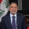 المشهداني يبدأ زيارة رسمية إلى تركيا