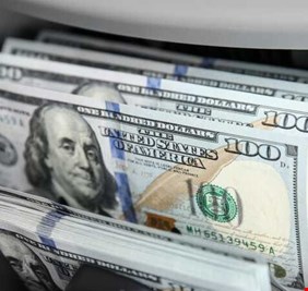 التخطيط تؤكد دور المنصة في خفض سعر الدولار