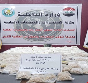 الداخلية تفكك أكثر من 1000 عصابة مخدرات خلال العامين الأخيرين