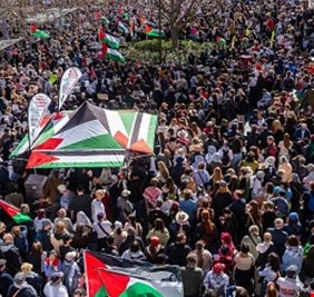 أستراليا.. 350 ألف متظاهر للمطالبة بوقف 