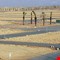 الحكومة تعلن اراضي بديلة للمتجاوزين