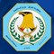 الداخلية تتخذ إجراءات قانونية بحق رجل مرور مرتشي
