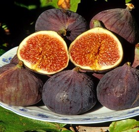 لماذا يجب أن يكون التين جزءا من نظامك الغذائي اليومي؟