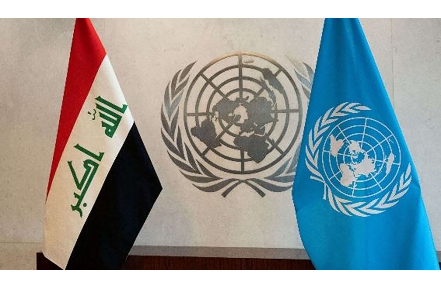 الأمم المتحدة تشيد بمستوى تنظيم التصويت الخاص