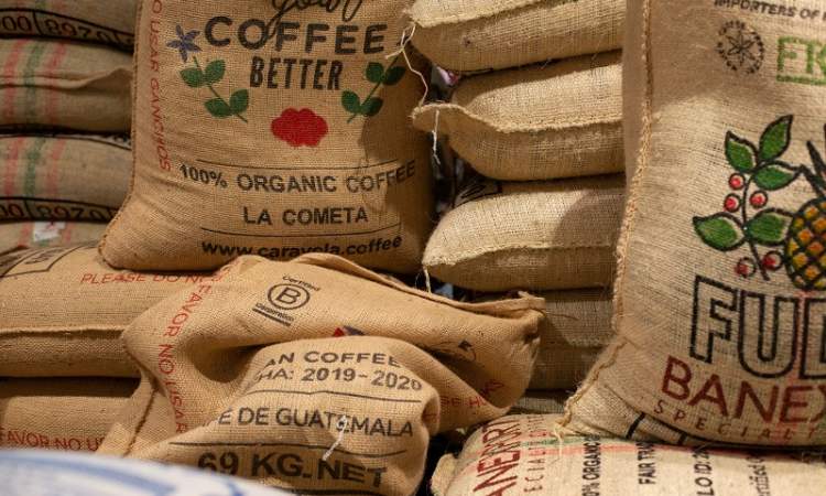 انخفاض أسعار البن عالمياً بعد إلغاء ترامب الرسوم الجمركية على البرازيل