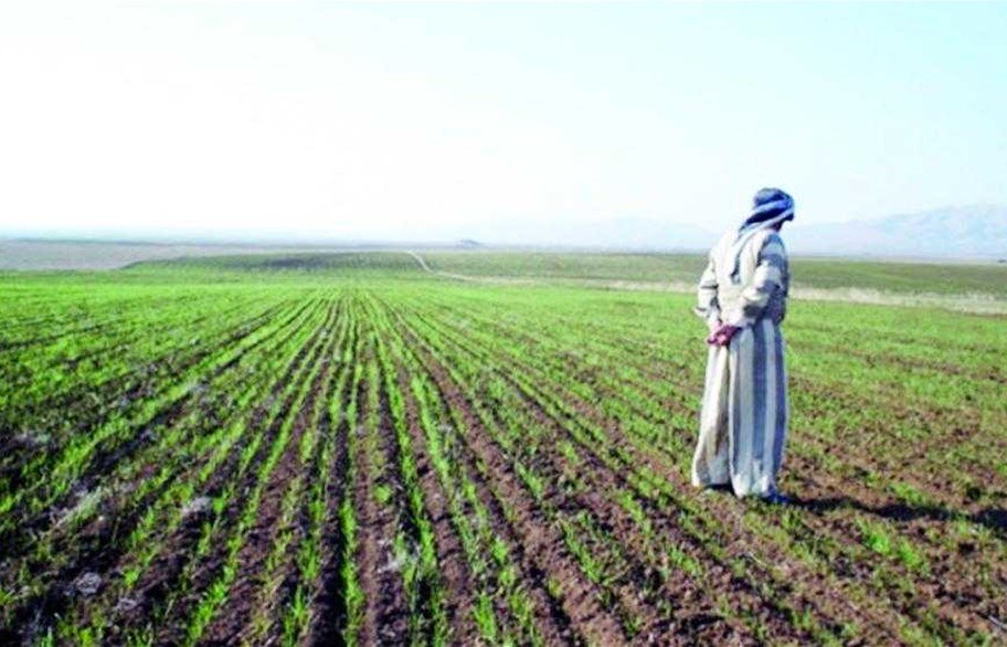 شح المياه و التغييرات المناخية تقلص المساحات الزراعية إلى النصف