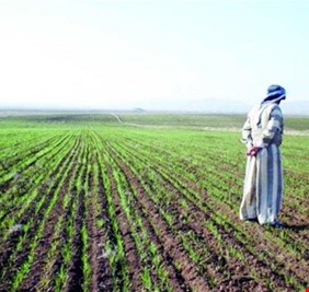 شح المياه و التغييرات المناخية تقلص المساحات الزراعية إلى النصف