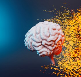 وجبة خفيفة يومية تحسّن الذاكرة خلال أربعة أشهر!