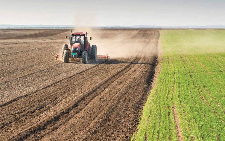 العراق يتصدر إنتاج الشعير في المنطقة العربية