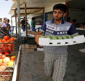 الزراعة: إجراءات لتنظيم الاستيراد وحماية المنتج المحلي