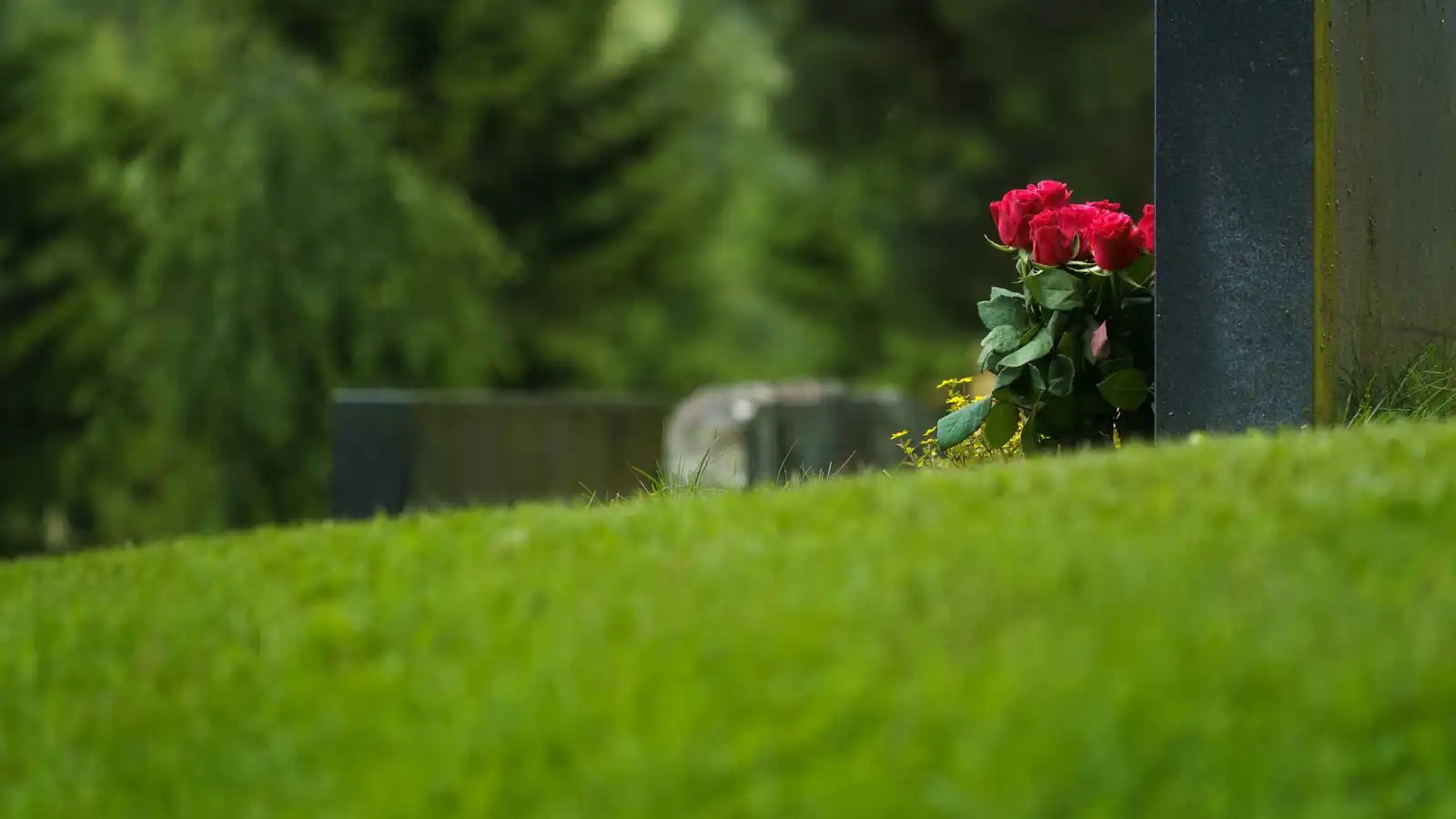 اشترى ورداً لقبر ضحيته.. سلوك قاتل يثير الدهشة في تركيا