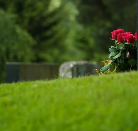 اشترى ورداً لقبر ضحيته.. سلوك قاتل يثير الدهشة في تركيا