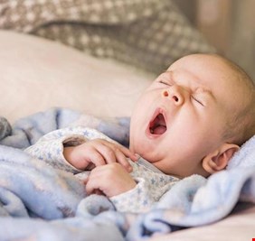 علماء يكشفون عن 