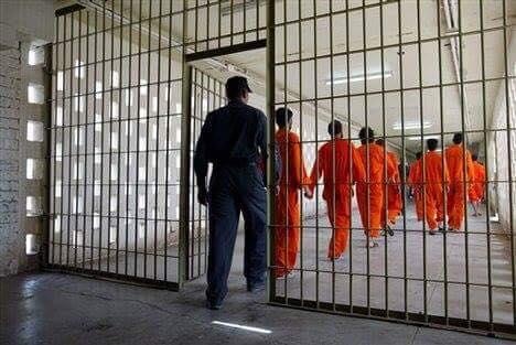 العدل تؤكد إطلاق سراح 12  الف محكوم بالعفو العام