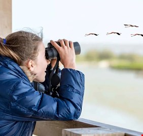 ما علاقة هواية 