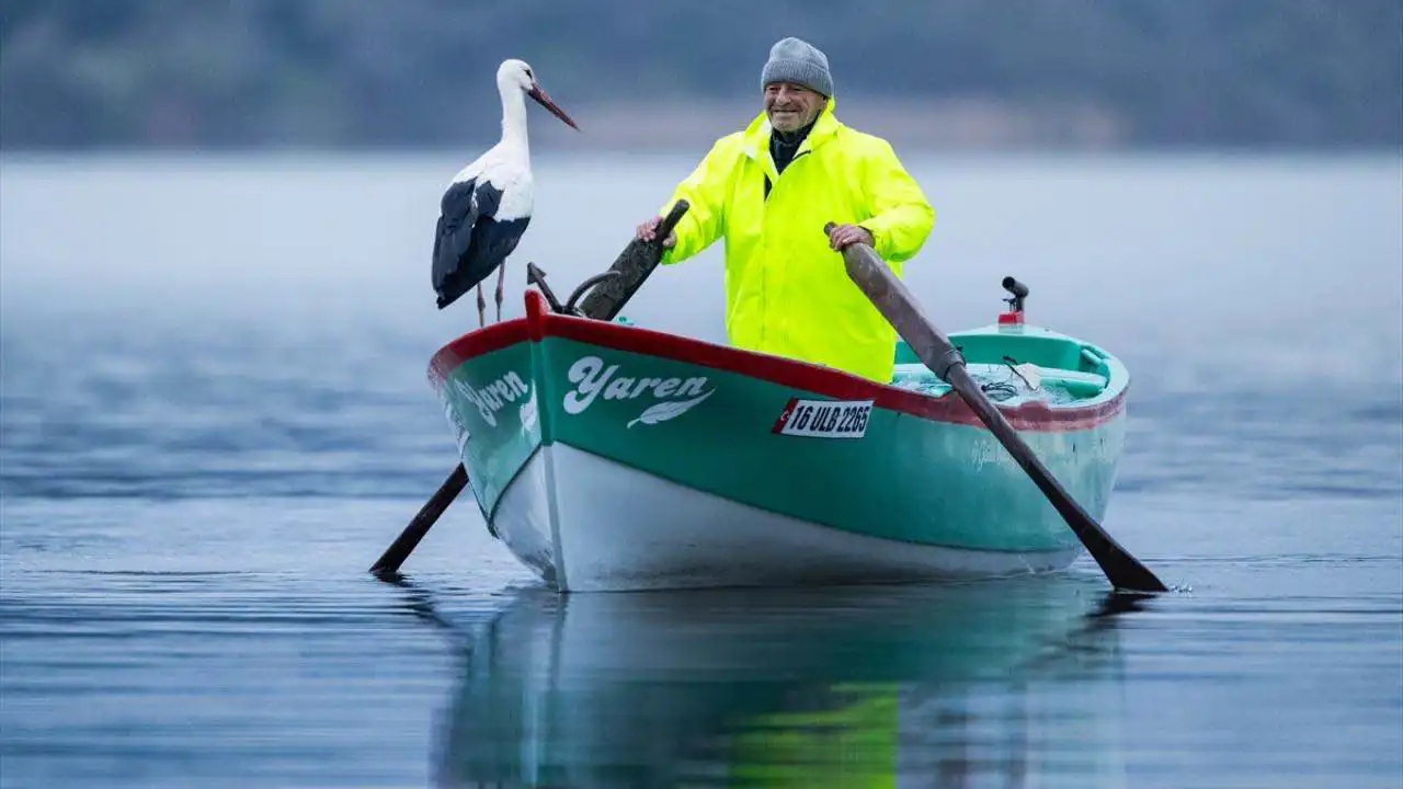 صداقة فريدة.. طائر لقلق شهير يعود لصديقه الصياد بعد 15 عاما