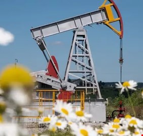 انخفاض اسعار النفط اكثر من 11 بالمئة