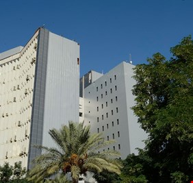 المالية توجه بإيقاف إجراءات الـ 150 الف درجة تعاقدية