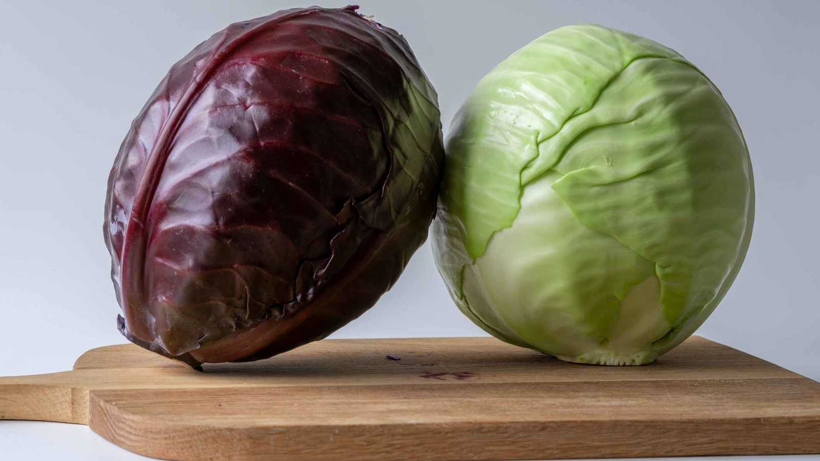 الملفوف الأحمر أم الأخضر.. أيهما أفضل لصحة أمعائك؟
