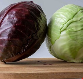 الملفوف الأحمر أم الأخضر.. أيهما أفضل لصحة أمعائك؟