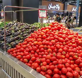 الزراعة: السلع الزراعية غير مشمولة بالتعرفة الجمركية وهناك وفرة بالمنتج المحلي