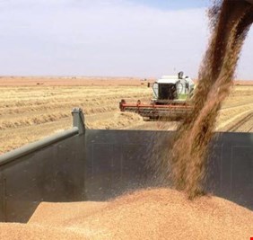 وزارة التجارة توقف العمل ببطاقة “ماستر كارد” في تسويق الحنطة وتؤجل تطبيقها للموسم المقبل