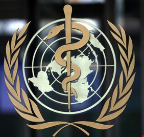 الصحة العالمية: خطر فيروس هانتا لا يزال 